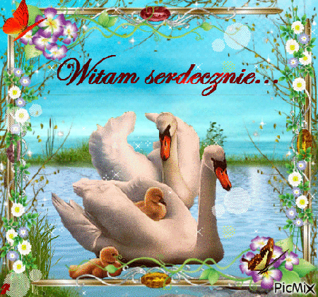 Witam serdecznie łabędzie motyle